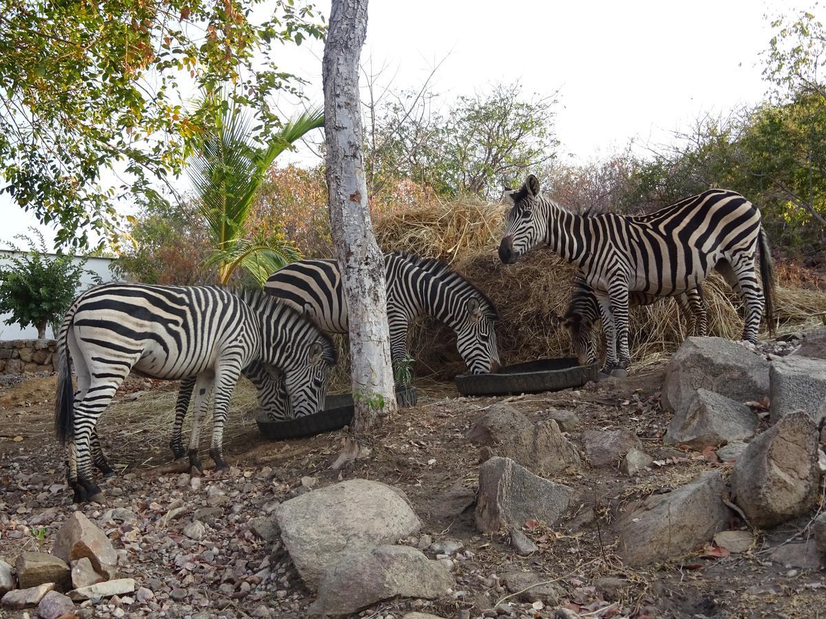 Lake Kariba Inns Сиавонга Экстерьер фото